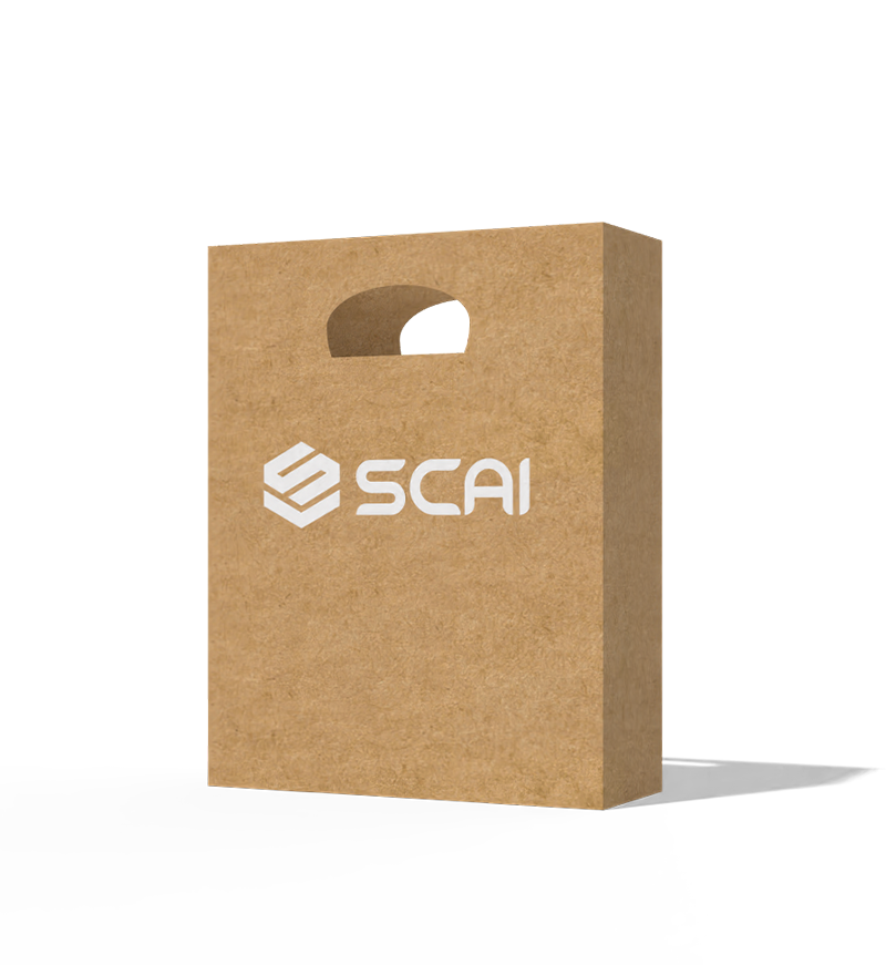 PZ013 Kraft paper bag